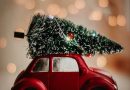 Få dit hjem i julestemning med de perfekte juletræsfødder